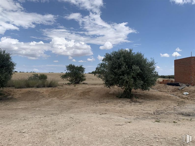 Suelo en venta en Avenida Aristóteles, s/n, Cobisa, Toledo, 45111 con edificio, planta, nube, cielo, comunidad vegetal, paisaje natural, árbol, lote de terreno, cúmulo y hierba alrededor