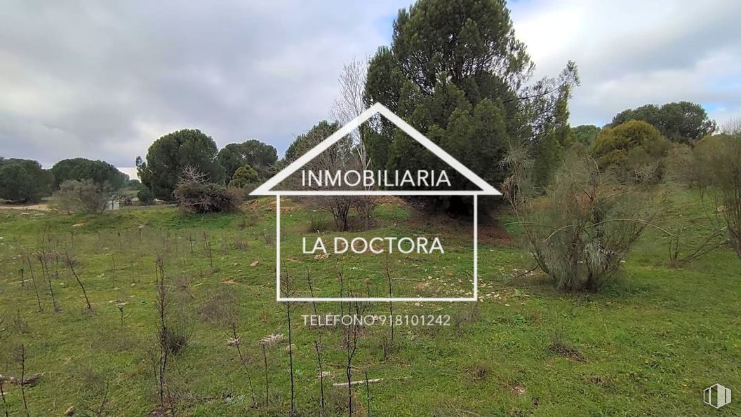 Land for sale at Calle Virgen de la Asunción, Pelayos de la Presa, Madrid, 28696 with plant, cloud, sky, tree, natural landscape, land lot, grass, terrestrial plant, groundcover and grassland around