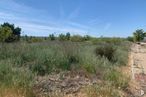 Land for sale at Calle Bulevar de Atienza, Chiloeches, Guadalajara, 19160 with plant, sky, natural landscape, tree, cloud, woody plant, plain, grass, shrub and landscape around