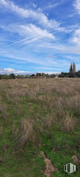 Land for sale at Camino Pajarillas, Móstoles, Madrid, 28935 with plant, sky, blue, daytime, cloud, grass, natural environment, grassland, vegetation and ecoregion around