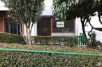 Retail for sale & for rent at Calle Rufino Blanco, 4, Guadalajara, 19003 with plant, leaf, tree, branch, vegetation, land lot, grass, building, residential area and home fencing around