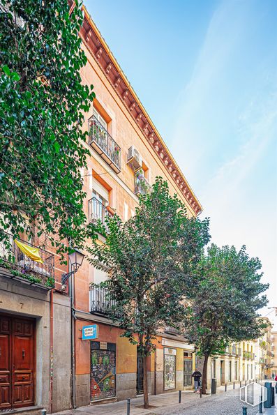 Oficina en alquiler en Calle Cabestreros, Centro, Madrid, 28012 con cielo, edificio, nube, ventana, superficie de la carretera, árbol, diseño urbano, barrio, casa y zona residencial alrededor