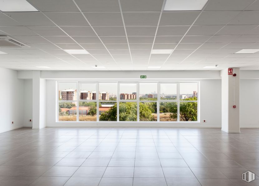 Industrial for rent at PAL M-40 , Villaverde, Madrid, 28041 with plant, fixture, flooring, material property, ceiling, city, glass, space, art and event around