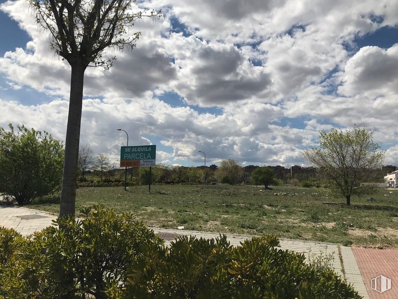 Suelo en alquiler en Calle Alberto Sánchez, 27, Vicálvaro, Madrid, 28052 con nube, cielo, planta, paisaje natural, terreno, árbol, cúmulo, superficie de la carretera, hierba y paisaje alrededor