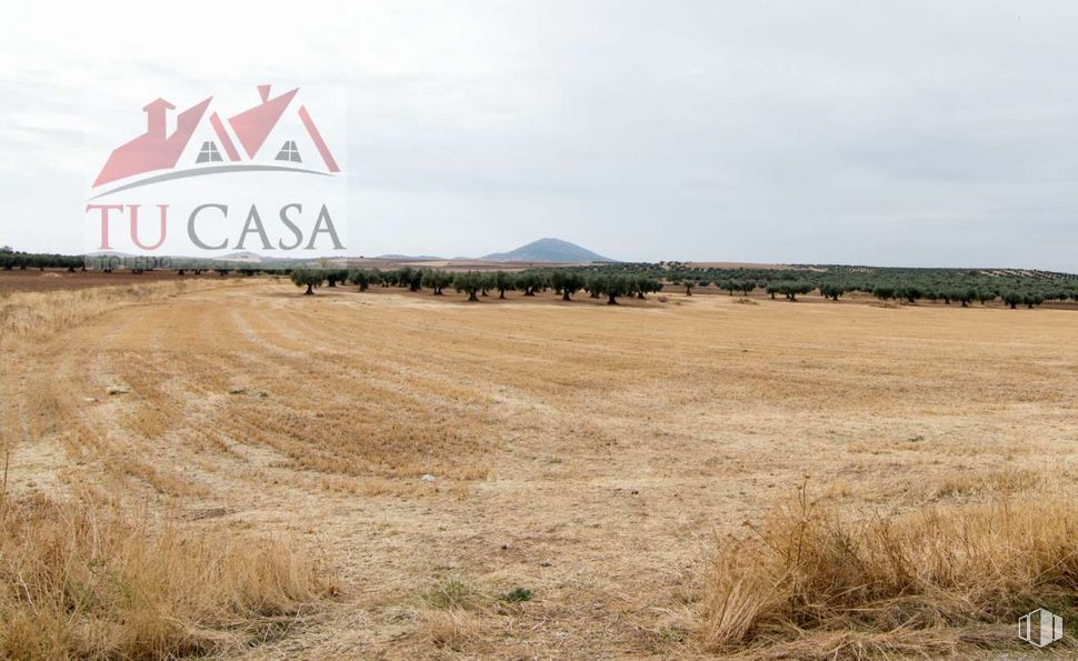 Land for sale at  Carretera de Cobisa a Burguillos, Cobisa, Toledo, 45111 with animal, sky, plant, natural landscape, land lot, cloud, grass, landscape, grassland and horizon around