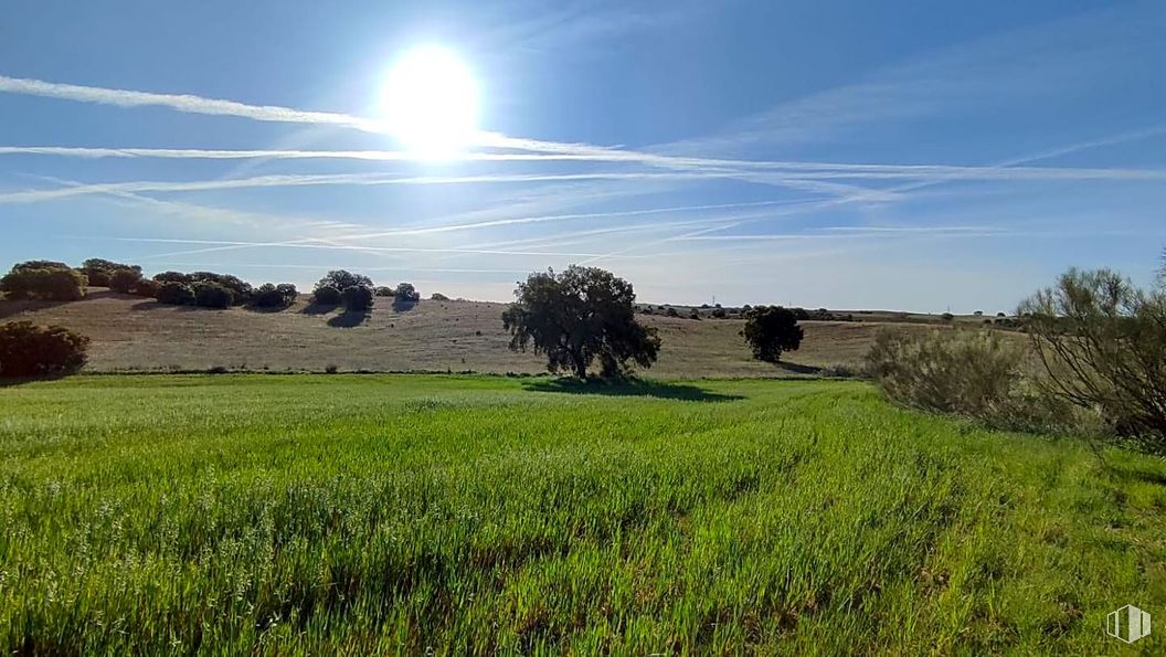 Suelo en venta en Zona La Cortanilla, Villamantilla, Madrid, 28610 con planta, cielo, nube, paisaje natural, árbol, lote de terreno, hierba, horizonte, paisaje y llano alrededor