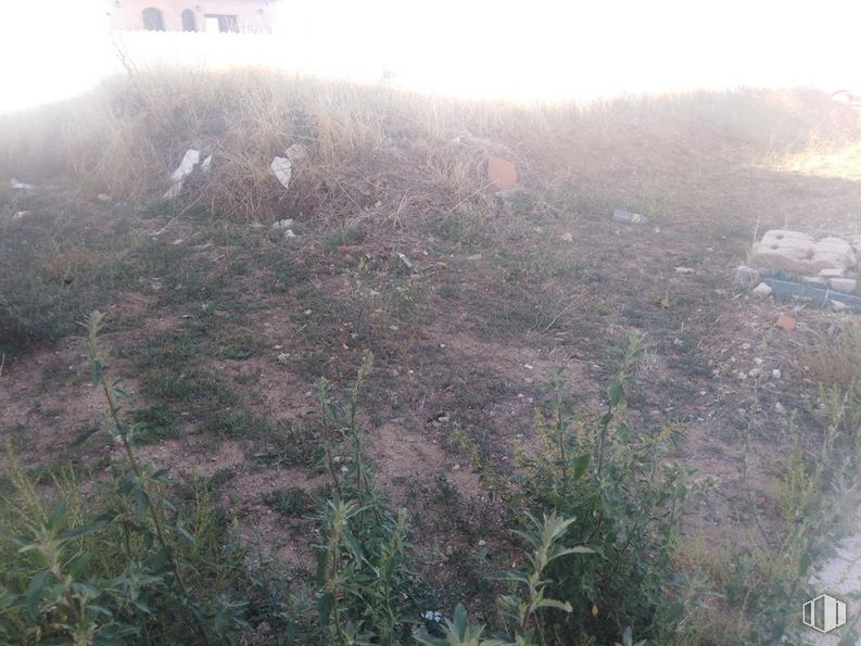 Land for sale at Calle Carlos Sainz, Fuensalida, Toledo, 45510 with plant, atmospheric phenomenon, grass, groundcover, landscape, natural landscape, slope, twig, shrub and mist around