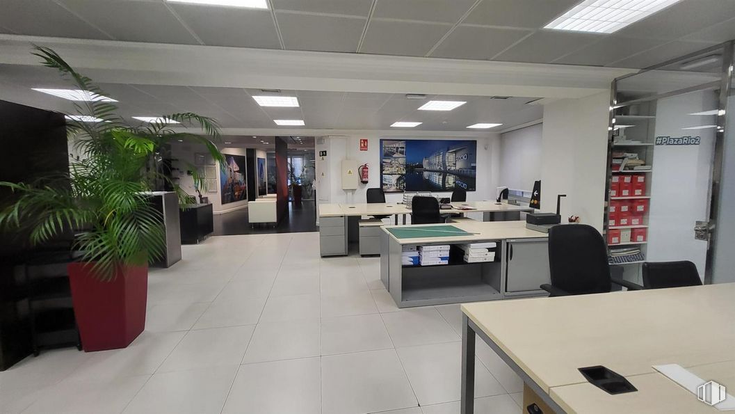 Oficina en alquiler en Paseo Recoletos, 16, Salamanca, Madrid, 28001 con planta de interior, mesa, silla, planta, mueble, edificio, maceta, silla de oficina, escritorio y interiorismo alrededor