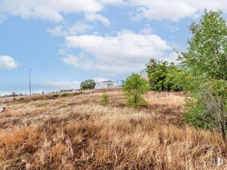 Land for sale at Calle Enero, 22, San Blas - Canillejas, Madrid, 28022 with cloud, sky, plant, natural landscape, land lot, tree, plain, landscape, shrub and grassland around