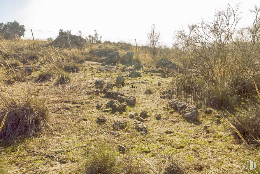 Land for sale at Urbanización La Pozuela, Toledo, 45004 with sky, plant, cloud, natural landscape, bedrock, shrub, grass, landscape, groundcover and grassland around