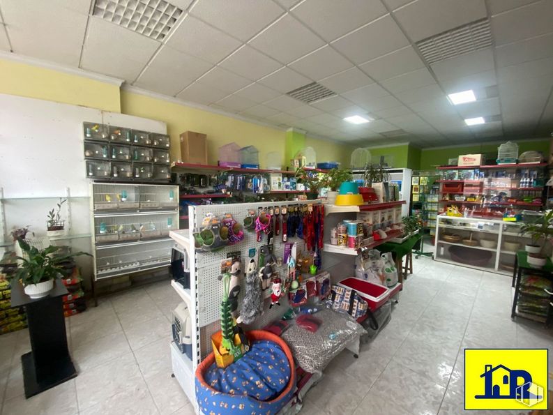 Retail for sale & for rent at Zona Reyes Católicos, Cuenca, 16003 with furniture, shelf, plant, shelving, interior design, houseplant, building, convenience store, retail and flowerpot around