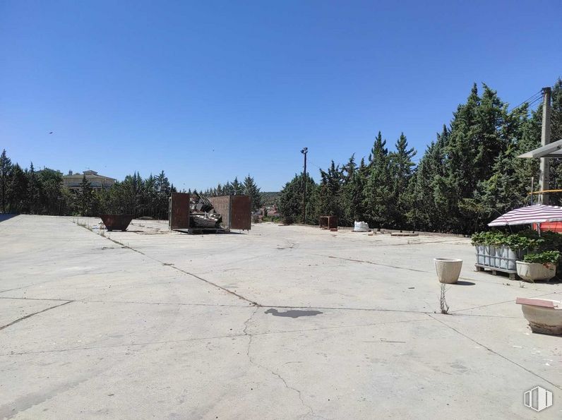 Nave en alquiler en Calle Agua, Valdilecha, Madrid, 28511 con paraguas, cielo, planta, asfalto, superficie de la carretera, árbol, terreno, maceta, paisaje y carretera alrededor