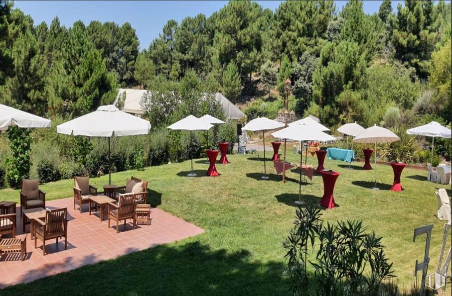 Retail for sale at Cuatro Postes, Arenas de San Pedro, Ávila, 05400 with umbrella, plant, furniture, nature, shade, tree, outdoor furniture, land lot, biome and table around