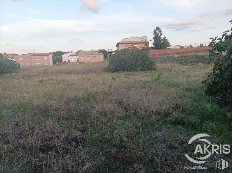 Land for sale at Travesía Doctor Cabañas, Recas, Toledo, 45211 with house, building, cloud, sky, plant, property, ecoregion, natural environment, natural landscape and land lot around