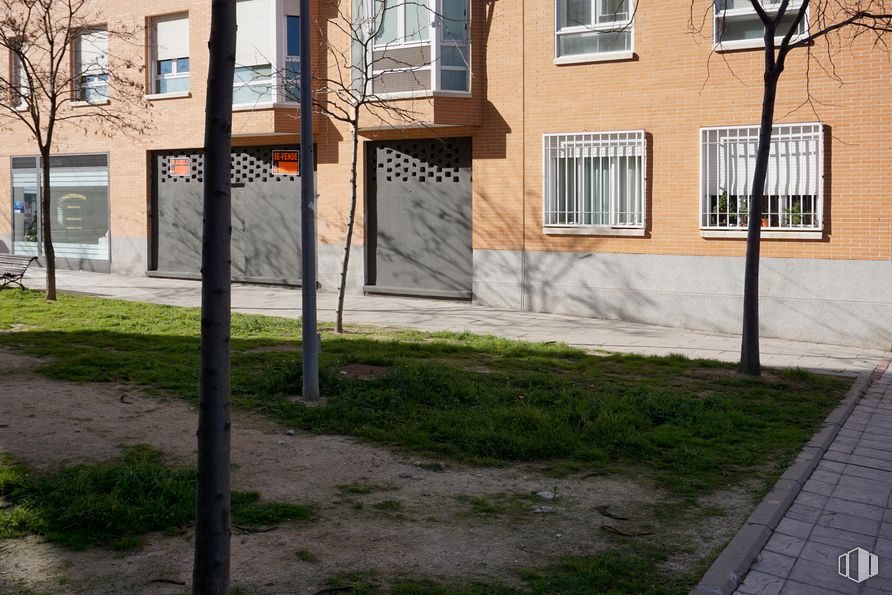 Local en alquiler y venta en Calle Beatriz Galindo, 7, San Sebastián de los Reyes, Madrid, 28700 con ventana, propiedad, edificio, planta, hoja, superficie de la carretera, diseño urbano, terreno, barrio y zona residencial alrededor