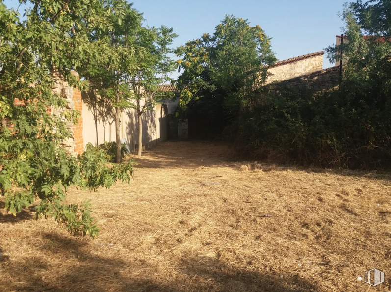 Suelo en alquiler y venta en Calle Dr Jiménez Diaz, 4, El Molar, Madrid, 28710 con planta, cielo, comunidad de plantas, edificio, sombra, árbol, lote de tierra, zona rural, tintes y matices y paisaje alrededor