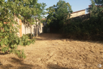 Land for sale & for rent at Calle Dr Jiménez Diaz, 4, El Molar, Madrid, 28710 with plant, sky, plant community, building, shade, tree, land lot, rural area, tints and shades and landscape around