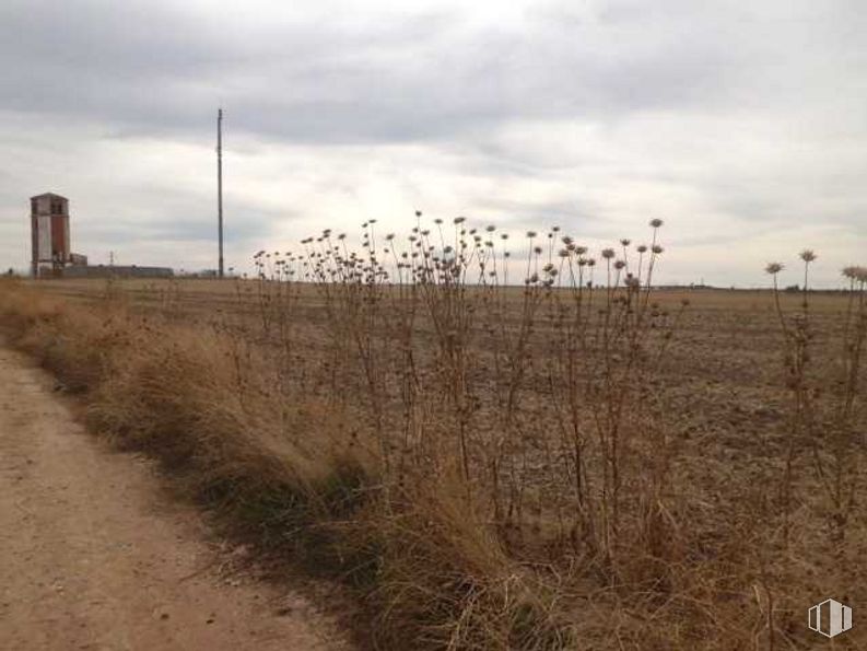 Land for sale at Sector S-8 5003, Cabañas de la Sagra, Toledo, 45592 with building, cloud, sky, plant, natural landscape, land lot, atmospheric phenomenon, street light, grass and landscape around