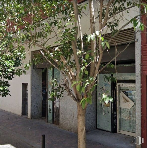 Local en venta en Calle Artistas, 24, Tetuán, Madrid, 28020 con puerta, edificio, rama, planta, ramita, vegetación, madera, barrio, superficie de carretera y planta leñosa alrededor