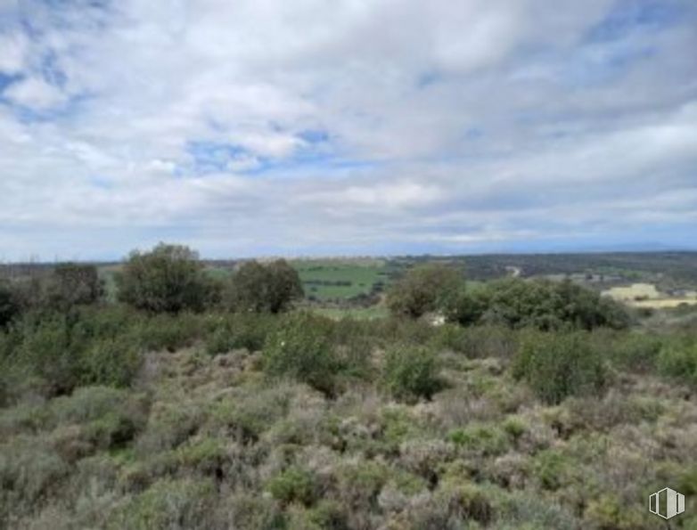 Suelo en venta en Urbanización Polígono 6, Fuentelahiguera de Albatages, Guadalajara, 19182 con nube, cielo, planta, paisaje natural, pradera, hierba, cúmulo, paisaje, horizonte y pradera alrededor