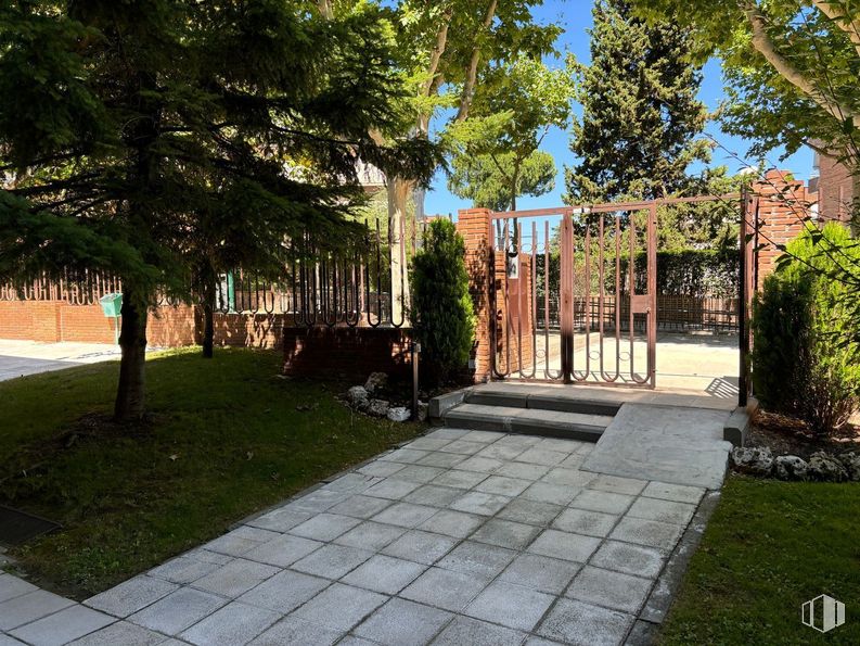 Oficina en alquiler en Calle Berlín, 4, Pozuelo de Alarcón, Madrid, 28224 con árbol, plantas, espacio público, arbusto, jardín, pasarela, losa, sombra, planta leñosa y paisajismo alrededor