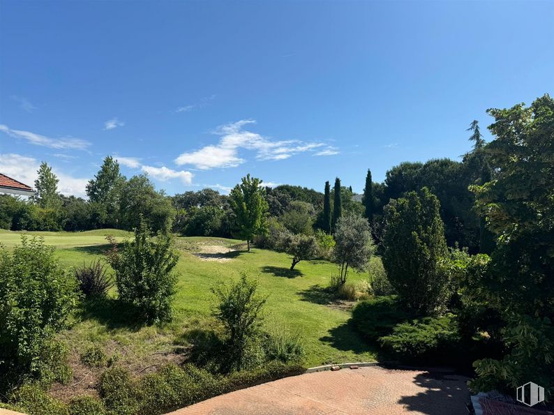 Suelo en venta en Urbanización Montepríncipe, Boadilla del Monte, Madrid, 28660 con cielo, nube, planta, paisaje natural, árbol, hierba, paisaje, arbusto, pradera y coníferas alrededor