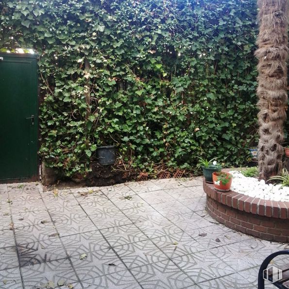 Office for rent at Zona Pradillo, Móstoles, Madrid, 28931 with plant, property, leaf, road surface, rectangle, architecture, grass, brick, flooring and brickwork around