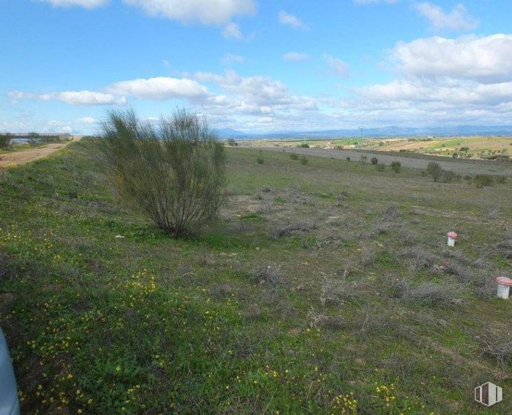 Land for sale at Calle Camino de Brunete, Navalcarnero, Madrid, 28600 with plant, cloud, sky, plant community, natural landscape, grass, grassland, landscape, plain and groundcover around