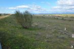 Land for sale at Calle Camino de Brunete, Navalcarnero, Madrid, 28600 with plant, cloud, sky, plant community, natural landscape, grass, grassland, landscape, plain and groundcover around