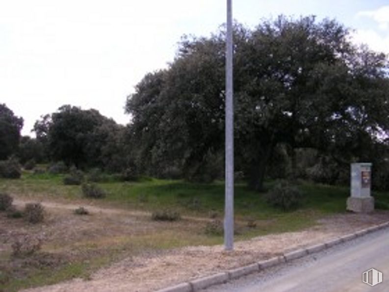 Land for sale at Calle Dehesa, Maello, Ávila, 05292 with plant, sky, tree, asphalt, grass, landscape, road, composite material, pole and street light around