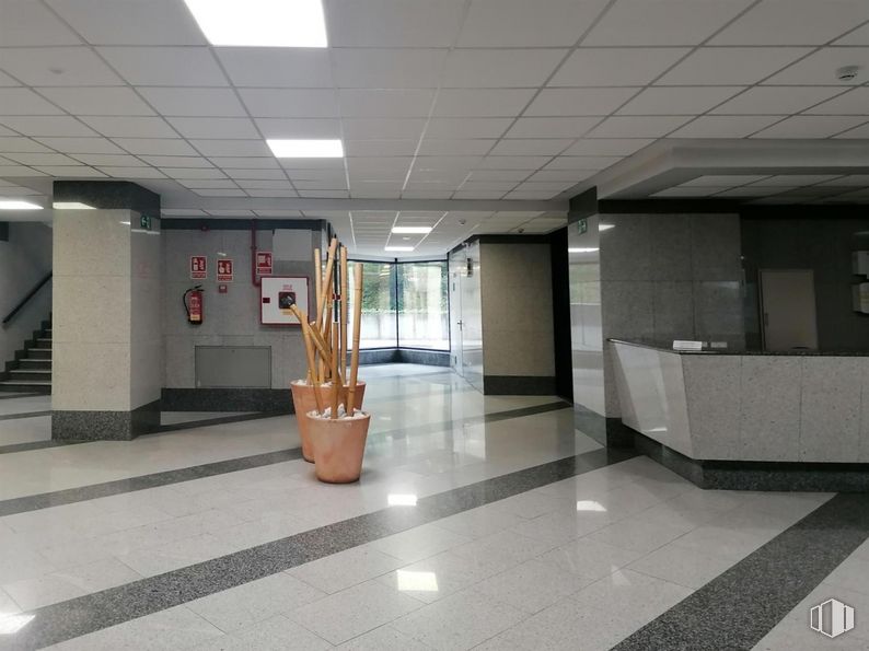 Office for sale & for rent at Zona Pinar de Las Rozas, Las Rozas de Madrid, Madrid, 28230 with houseplant, building, architecture, fixture, flooring, floor, tile flooring, plant, ceiling and hall around