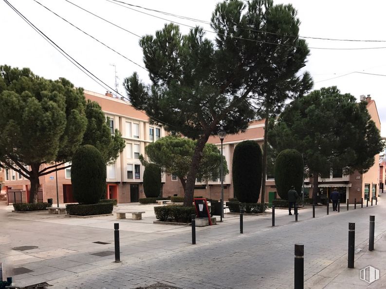 Local en alquiler y venta en Plaza Marlasca, Guadalajara, 19001 con edificio, planta, ventana, árbol, superficie de la carretera, diseño urbano, vecindario, ciudad, camino y fachada alrededor