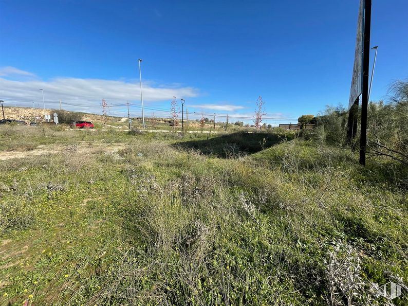 Land for sale at Calle Mártires, El Álamo, Madrid, 28607 with sky, plant, cloud, plant community, ecoregion, natural landscape, slope, land lot, tree and grassland around