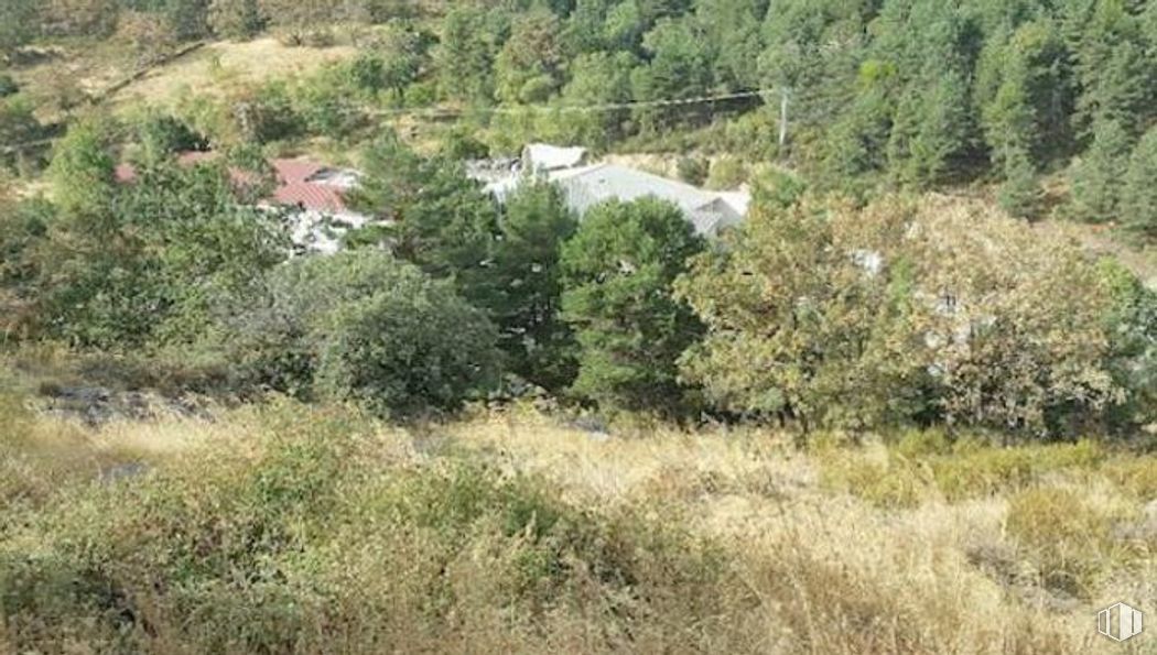 Suelo en venta en Calle Cumbre, s/n, Miraflores de la Sierra, Madrid, 28792 con planta, paisaje natural, árbol, lote de tierra, arbusto, pastizal, paisaje, prado, bosque y hierba alrededor