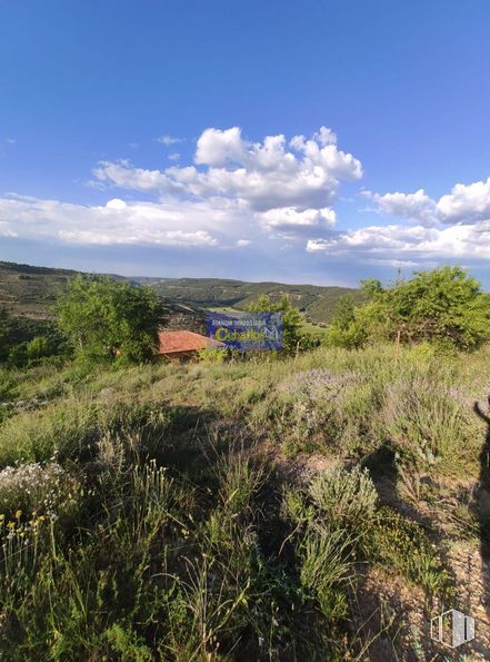 Land for sale at Camino Pililla, Horche, Guadalajara, 19140 with cloud, sky, plant, plant community, natural landscape, grass, tree, cumulus, grassland and plain around