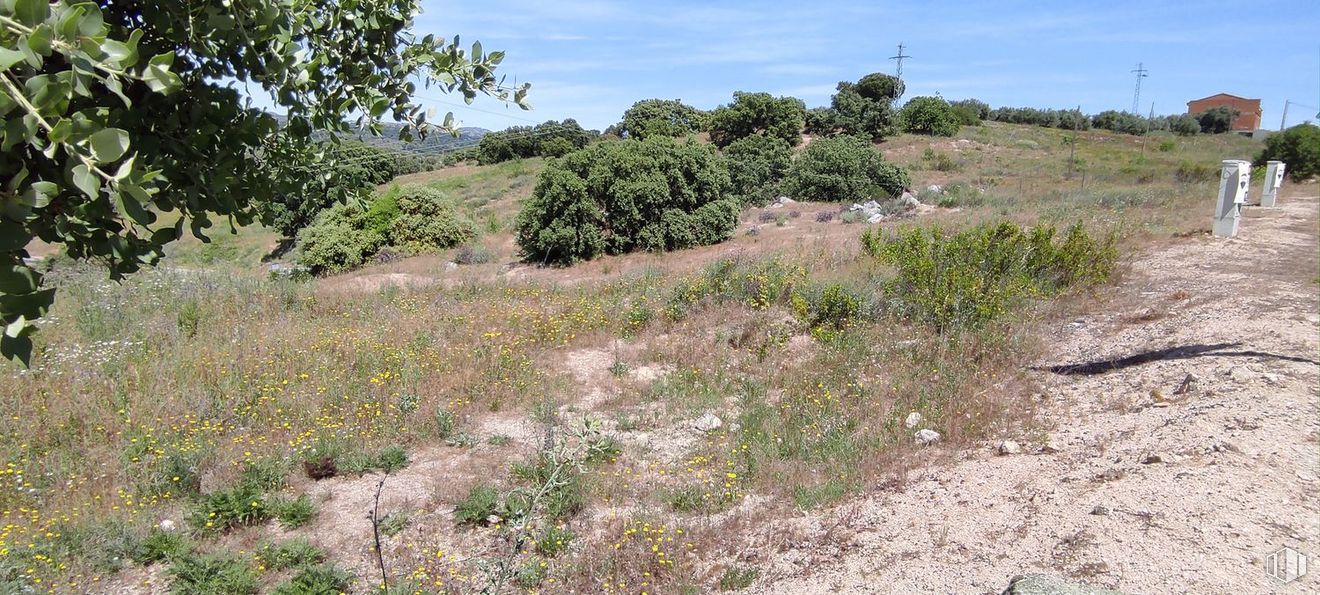 Land for sale at Zona Centro, Almorox, Toledo, 45900 with plant, sky, natural environment, cloud, natural landscape, land lot, bedrock, tree, grass and landscape around