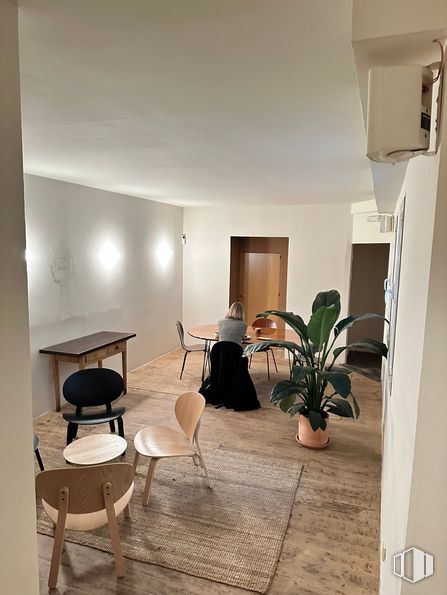 Local en venta en Calle Palma, Centro, Madrid, 28004 con planta de interior, mesa, silla, planta, mueble, edificio, madera, diseño de interiores, piso y pavimentos alrededor