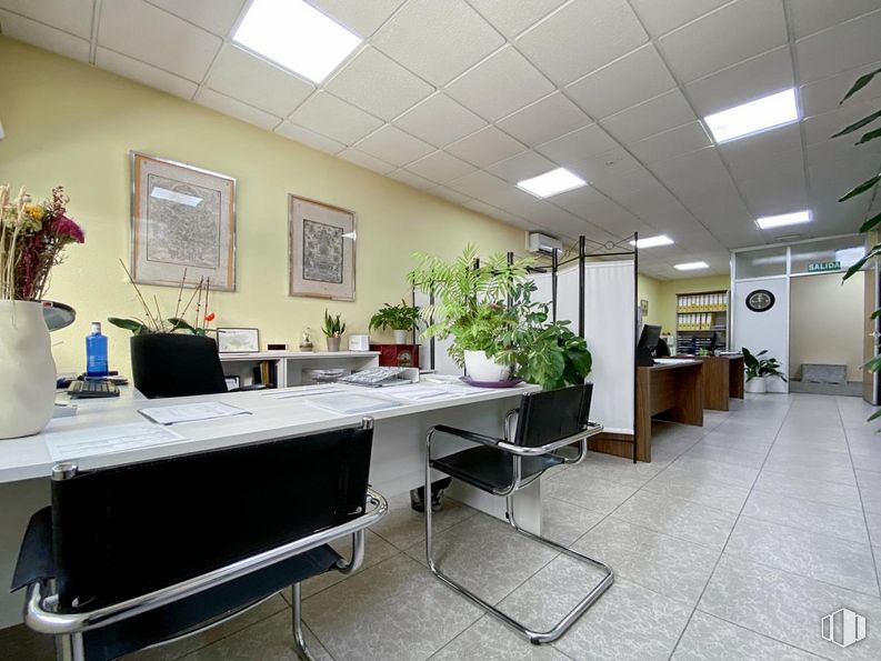 Oficina en venta en Calle Azuela, Collado Villalba, Madrid, 28400 con silla, planta de interior, marco, escritorio, planta, propiedad, mueble, edificio, mesa y maceta alrededor