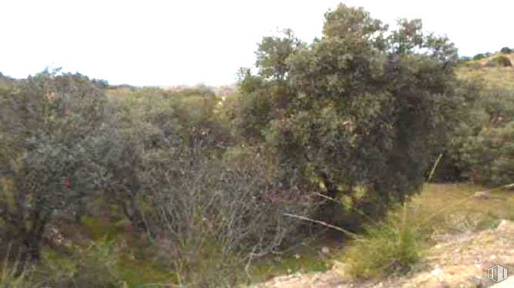 Land for sale at Zona Los Cigarrales - La Bastida, Toledo, 45008 with plant, natural landscape, sky, shrub, landscape, tree, grass, terrestrial plant, wildlife and subshrub around