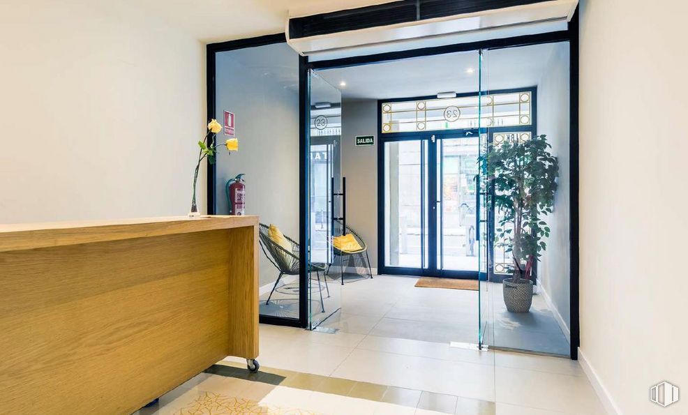 Retail for rent at Calle Marqués Cubas, Centro, Madrid, 28014 with houseplant, door, fixture, plant, interior design, flooring, automotive exterior, vehicle door, glass and wood around