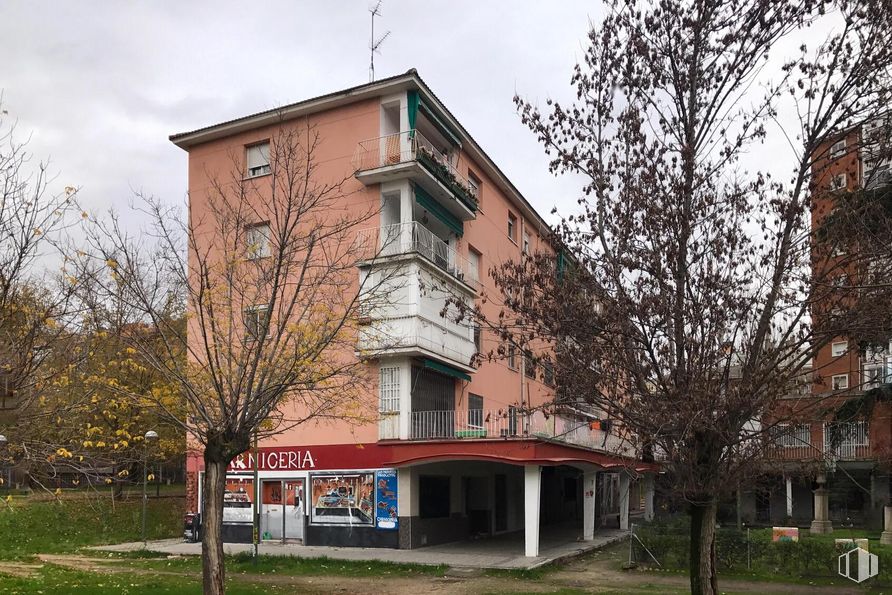 Local en alquiler en Calle Fernando Gabriel, 20, Ciudad Lineal, Madrid, 28017 con edificio, planta, cielo, ventana, nube, árbol, barrio, zona residencial, ladrillo y casa alrededor