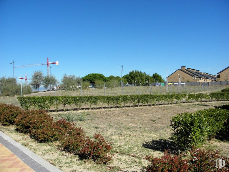 Suelo en alquiler en El Encinar, Boadilla del Monte, Madrid, 28660 con casa, cielo, planta, luz de la calle, ecorregión, ventana, lote de tierra, árbol, paisaje natural y hierba alrededor