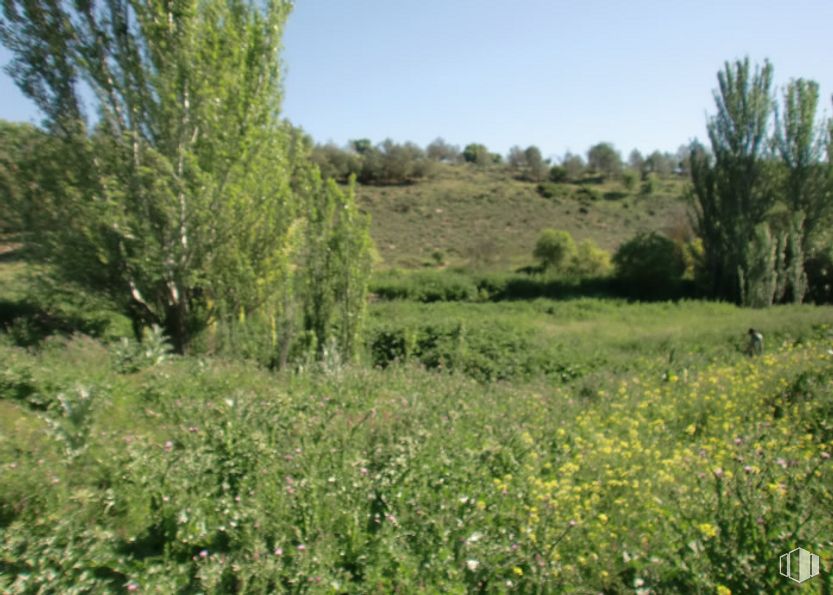 Suelo en venta en Zona Puerta de Murcia - Colegios, Ocaña, Toledo, 45300 con planta, cielo, flor, paisaje natural, árbol, cubierta vegetal, arbusto, hierba, paisaje y pradera alrededor