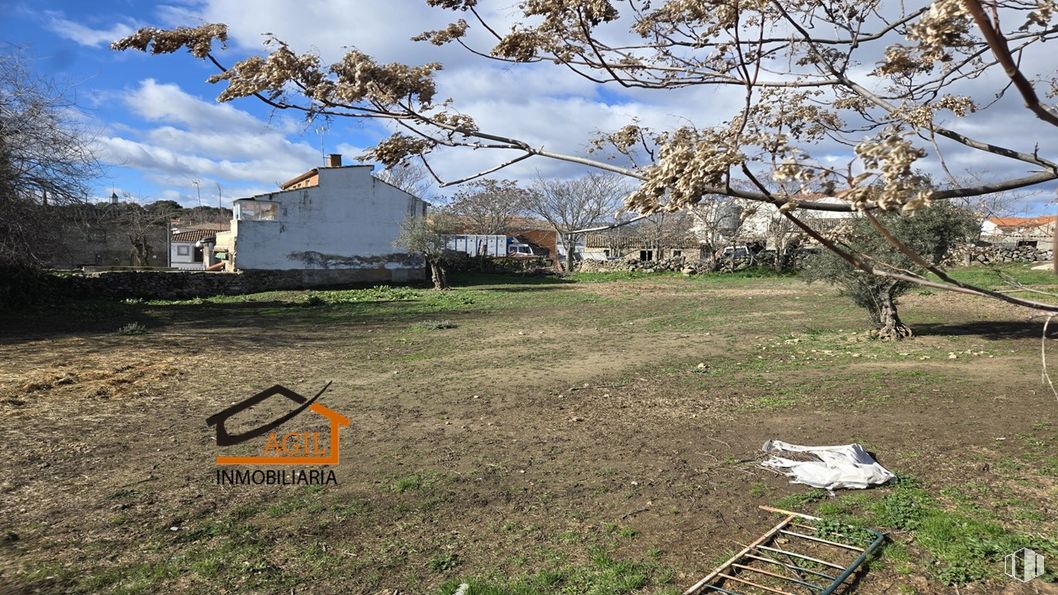 Land for sale at Calle Artistas, Colmenar del Arroyo, Madrid, 28213 with tree, branch, rural area, plain, human settlement, soil, twig, village, yard and backyard around