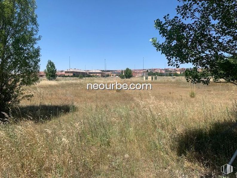 Land for sale at Calle Bartolomé de las Casas, Ávila, 05002 with plant, sky, tree, natural landscape, land lot, landscape, grass, plain, grassland and meadow around