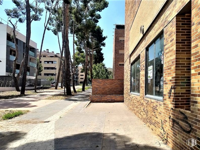 Local en alquiler y venta en Calle Junta Central Suprema, 10, Aranjuez, Madrid, 28300 con ventana, edificio, cielo, planta, infraestructura, superficie de la carretera, asfalto, árbol, luz solar y barrio alrededor