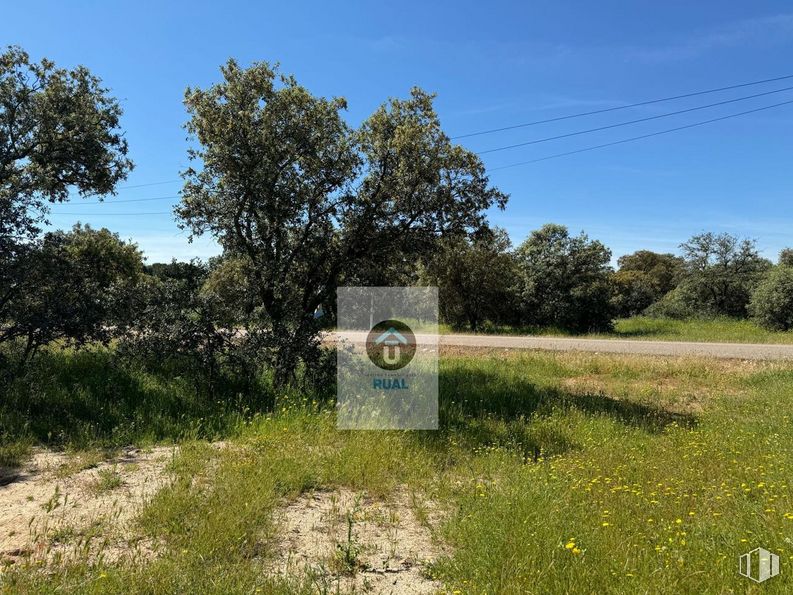 Land for sale at Calle Acacias, San Román de los Montes, Toledo, 45646 with plant, sky, natural landscape, tree, land lot, flower, grass, plain, landscape and road around