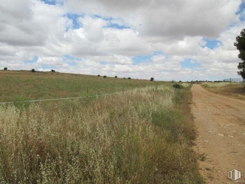 Land for sale at Avenida Parques Naturales, Horche, Guadalajara, 19140 with plant, cloud, sky, plant community, natural landscape, tree, land lot, cumulus, grassland and plain around