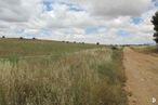 Land for sale at Avenida Parques Naturales, Horche, Guadalajara, 19140 with plant, cloud, sky, plant community, natural landscape, tree, land lot, cumulus, grassland and plain around