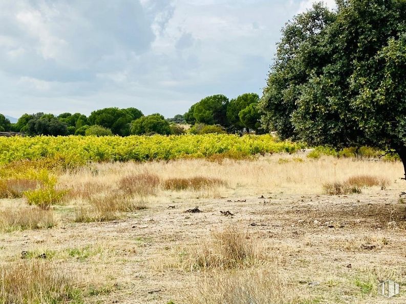 Land for sale at Carretera N-403, San Martín de Valdeiglesias, Madrid, 28680 with cloud, plant, sky, natural landscape, tree, bank, grass, shrub, plain and road around